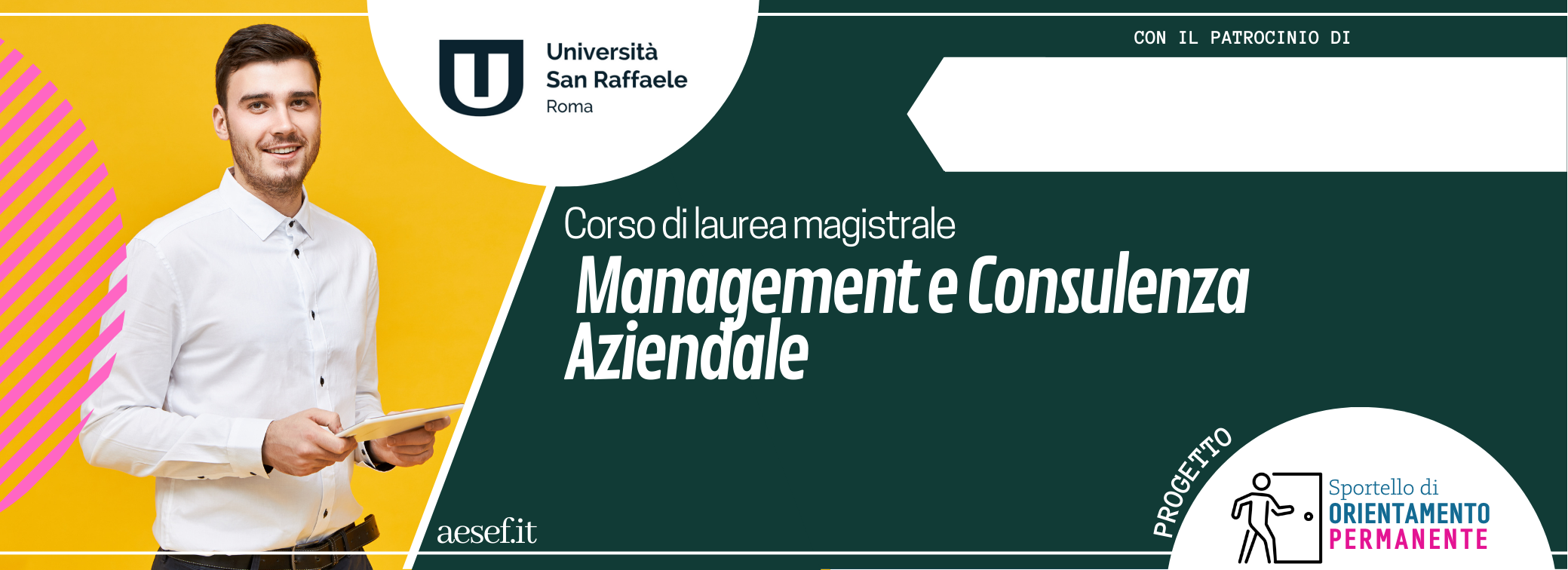 LM-77 Laurea Magistrale In Management E Consulenza Aziendale - AESEF ...